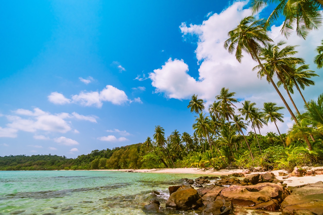 A pristine tropical beach in the Dominican Republic with turquoise water and palm trees.